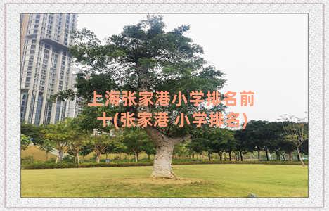 上海张家港小学排名前十(张家港 小学排名)